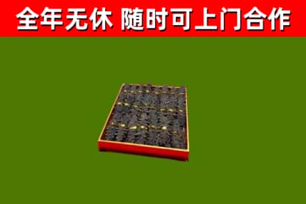 枝江回收海参
